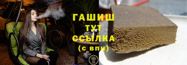 хмурый Алексин