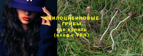 индика Алзамай