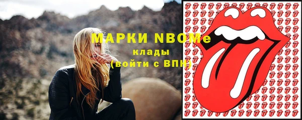 индика Алзамай