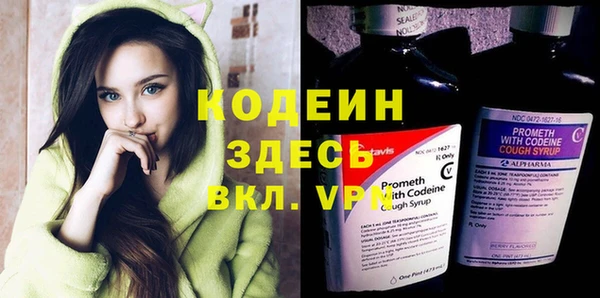 хмурый Алексин