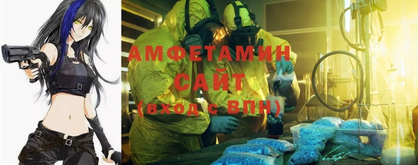 индика Алзамай