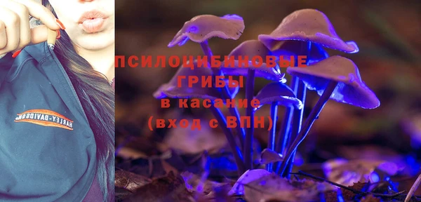 ГАЛЛЮЦИНОГЕННЫЕ ГРИБЫ Алексеевка